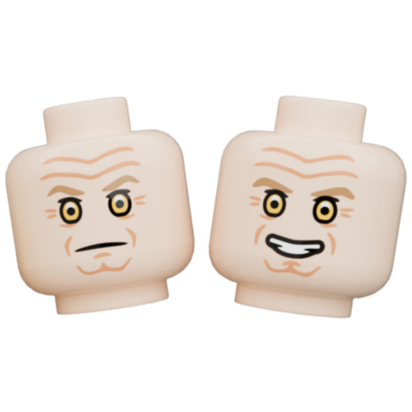 Pupil Heads