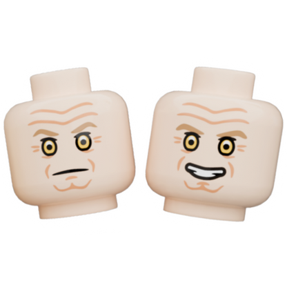 Pupil Heads