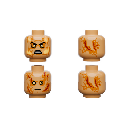 Pupil Heads