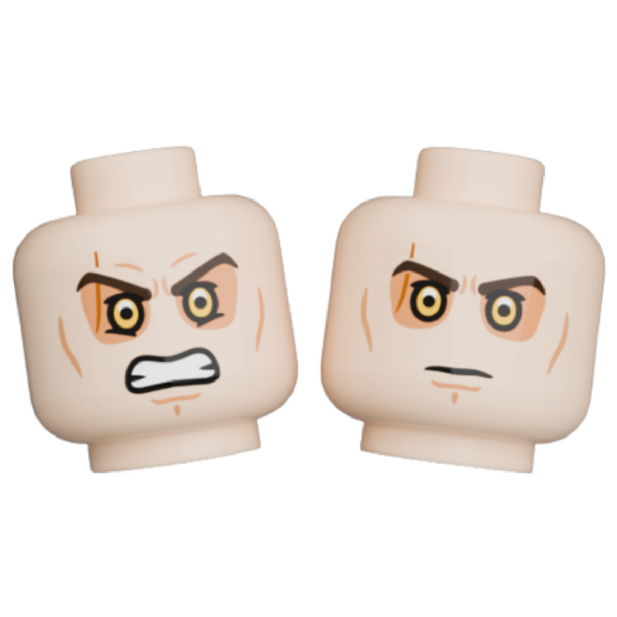 Pupil Heads