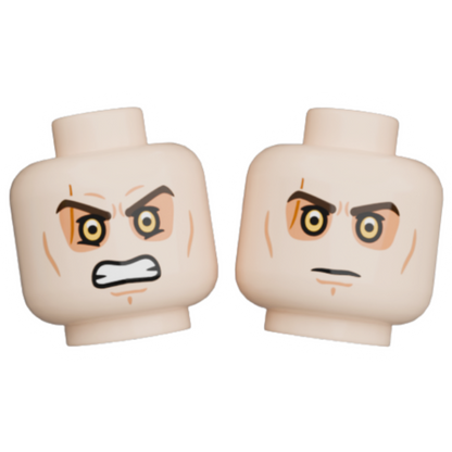 Pupil Heads
