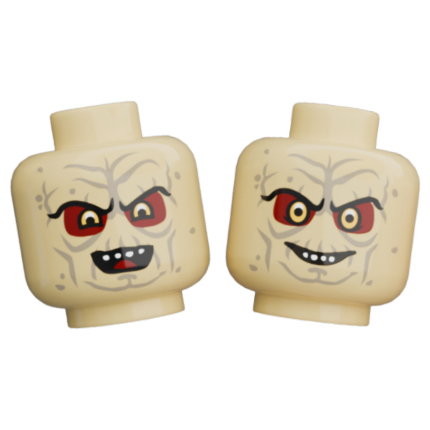 Pupil Heads