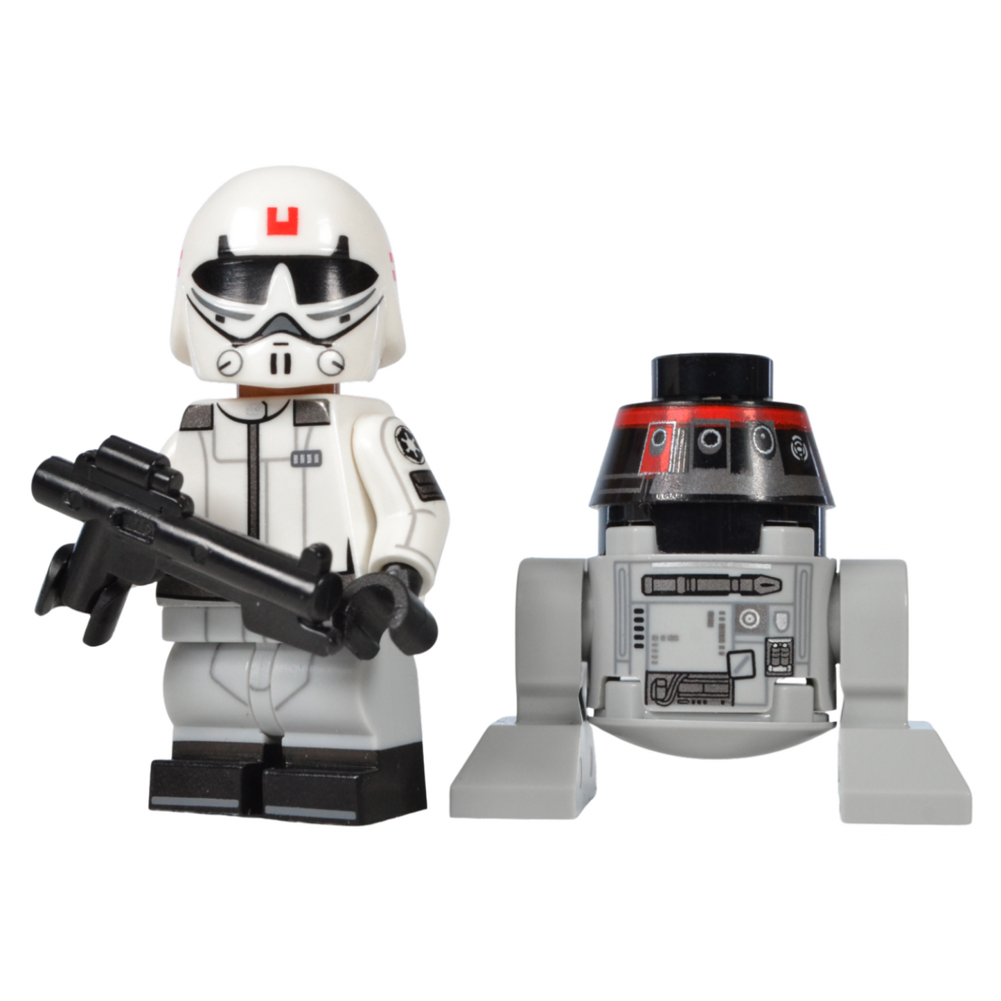 The Sneaky Duo